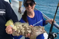 Key West Party Boat Fishing Trip thumbnail 5