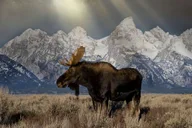 Jackson Grand Teton Native American Petroglyph Tour thumbnail 3