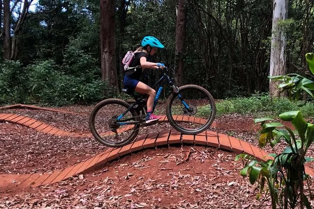 Maui Mountain Bike Tour on Haleakala Trails - Image 5