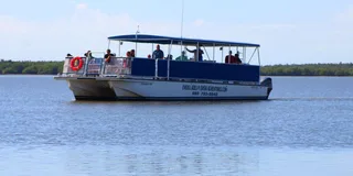Miami Everglades Tour with Boat Trip and Hikes