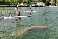 Saint Petersburg Paddle Board Tour thumbnail 1