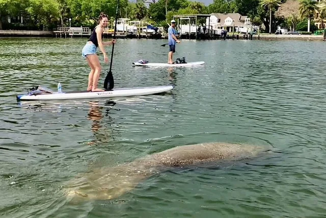 Saint Petersburg Paddle Board Tour - Image 1