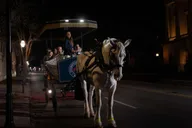 Charleston Ghost Carriage Tour thumbnail 4