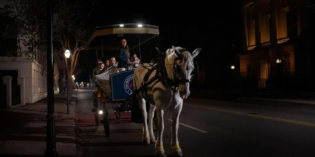 Charleston Ghost Carriage Tour - Image 4