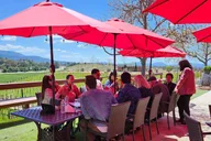 San Diego Temecula Wine Country Tour thumbnail 6