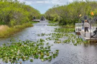 Miami Everglades Airboat Tour 4 hr thumbnail 2