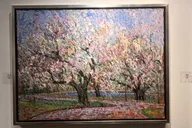 Boston Chocolate and Art Galleries Tour thumbnail 3