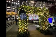 New York City Christmas Lights Tour thumbnail 4