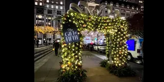 New York Christmas Lights Tour with Santa