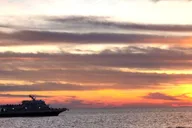 Cape May Dinner Cruise with Dolphin Watching thumbnail 5