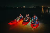 LED Bio Comb Jelly Clear Bottom Kayak Tour thumbnail 3