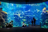 San Francisco Golden Gate Park and California Academy Tour thumbnail 5