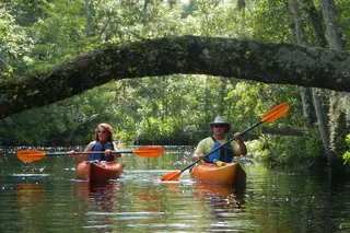 Fernandina Kayaking Tour on Lofton Creek