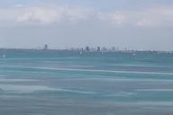 Miami Helicopter Tour Over Haulover Beach thumbnail 4