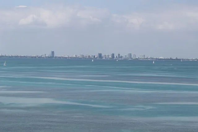Miami Helicopter Tour Over Haulover Beach - Image 4