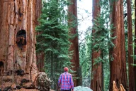 San Francisco Muir Woods and Meadery Tour thumbnail 4