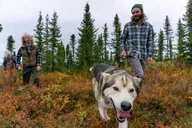Denali Tundra Walk with Sled Dogs 1 hr thumbnail 6