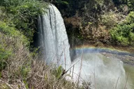 Kauai Private Guided Tour Waimea Canyon from Lihue thumbnail 6