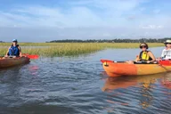 Hilton Head Guided Kayak Eco Tour thumbnail 4