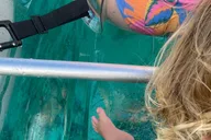 Maui Clear Bottom Kayak Rental thumbnail 5