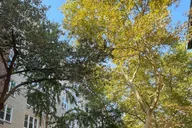 Brooklyn Food Tour with Brooklyn Bridge Walk thumbnail 6