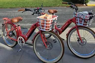 Miami Train to Palm Beach E-Bike Tour thumbnail 3