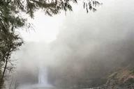 Seattle Waterfalls and Rainforest Hike 4 hr thumbnail 2