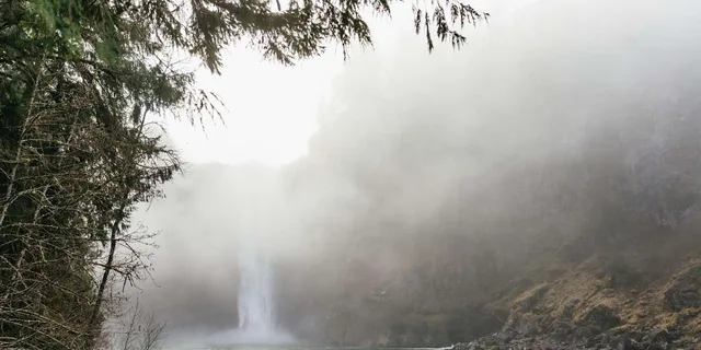 Seattle Waterfalls and Rainforest Hike 4 hr - Image 2