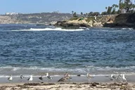 San Diego Private Tour in a Lexus ES300H thumbnail 6