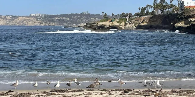 San Diego Private Tour in a Lexus ES300H - Image 6