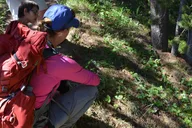 Yellowstone Hike to Lake Shoshone (Private) thumbnail 6