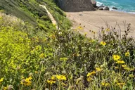 Malibu Climbing Class at Point Dume 2 hr thumbnail 2