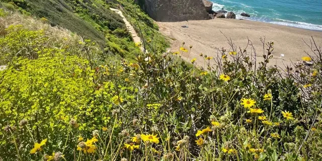 Malibu Climbing Class at Point Dume 2 hr - Image 2