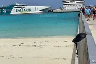 Fort Lauderdale Bimini Island Day Trip by Ferry thumbnail 2