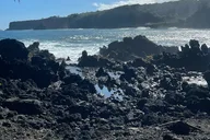 Maui Road to Hana Private Tour thumbnail 6