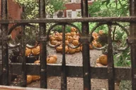 New York City Halloween Walking Tour in French thumbnail 3