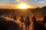 Los Angeles Hollywood Hills Horseback Ride thumbnail 4