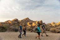 Joshua Tree Private Tour and Hike thumbnail 2