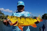 Key Largo Peacock Bass Fishing Trip thumbnail 6
