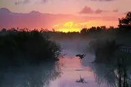 Everglades National Park Self-Guided Audio Tour thumbnail 5