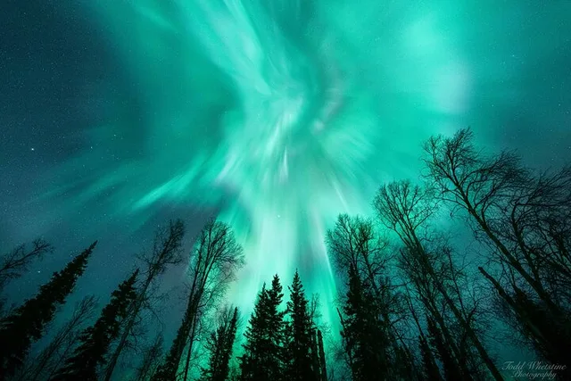 Fairbanks Northern Lights Photo Workshop - Image 5