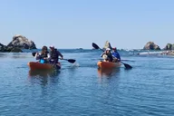 Sonoma Coast Russian River Kayak Tour thumbnail 5