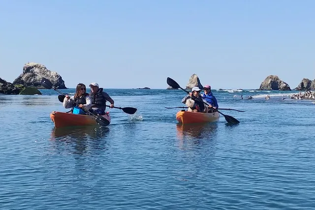 Sonoma Coast Russian River Kayak Tour - Image 5