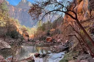 Zion National Park Private Photography Tour thumbnail 5