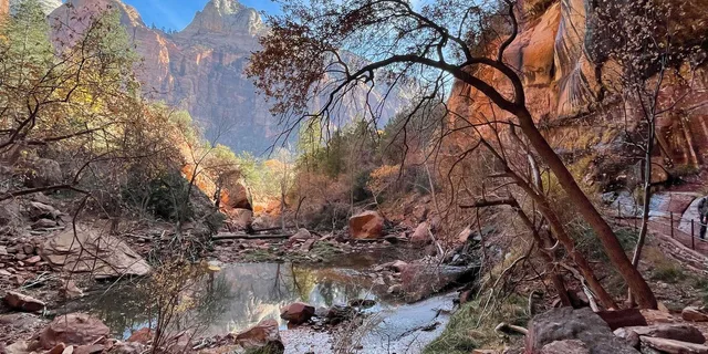Zion National Park Private Photography Tour - Image 5