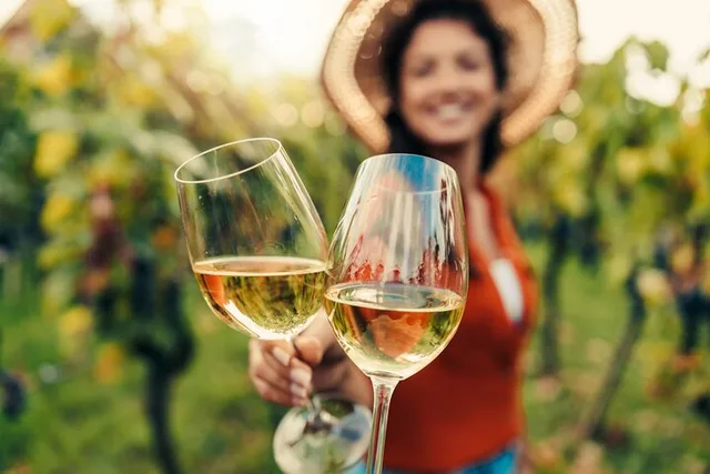 San Francisco Napa Valley Wine Tour with Tastings - Image 6