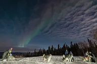 Fairbanks Dog Sledding and Northern Lights Combo thumbnail 1