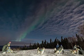 Fairbanks Dog Sledding and Northern Lights Combo
