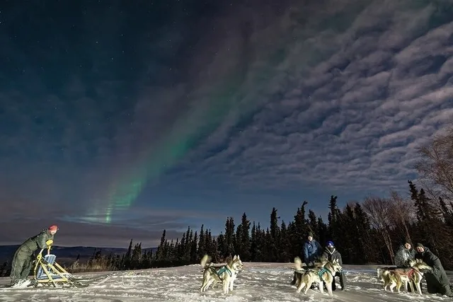 Fairbanks Dog Sledding and Northern Lights Combo - Image 1