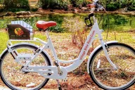 The Villages Bicycle Rental with Free Delivery thumbnail 3